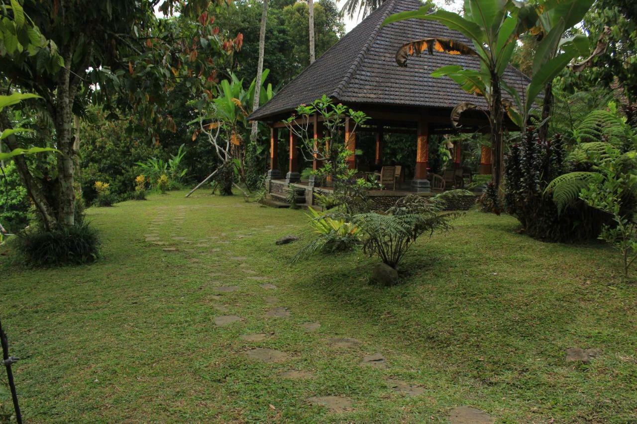 Saridevi Ecolodge Jatiluwih Eksteriør billede