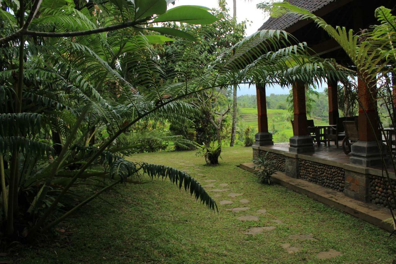 Saridevi Ecolodge Jatiluwih Eksteriør billede